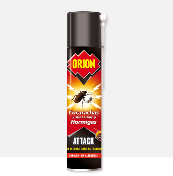 analogía jugo Problema Aerosol insecticida para insectos rastreros | Orion